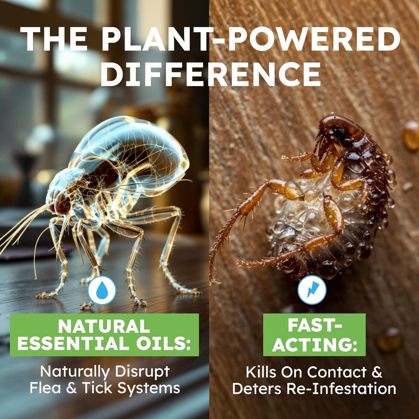 BugMD™ Flea and Tick Spray