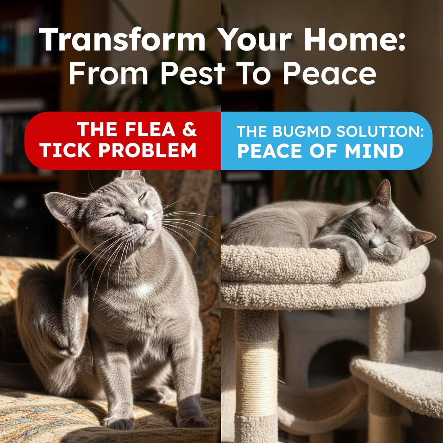 BugMD™ Flea and Tick Spray