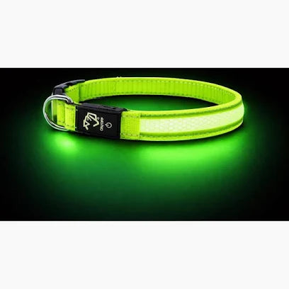 Dog Reflective Safety Strap